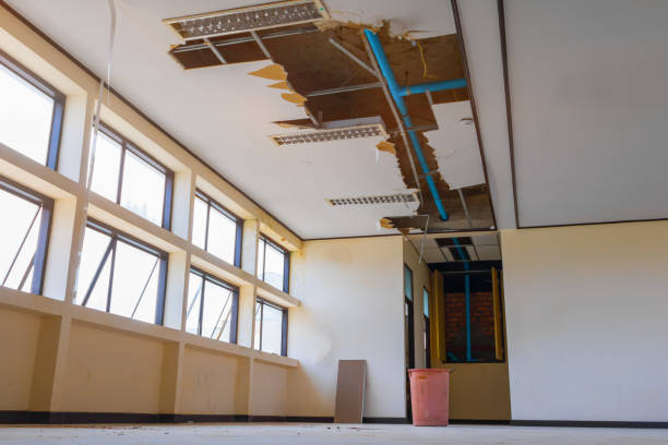 Best Flood restoration services  in St Albans, VT