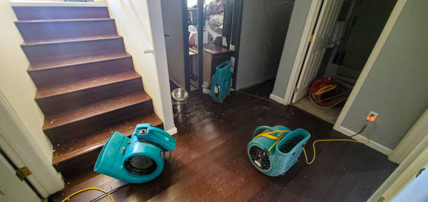 Best Sewage cleanup and water damage restoration  in St Albans, VT