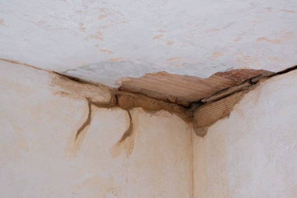 Best Water damage restoration near me  in St Albans, VT